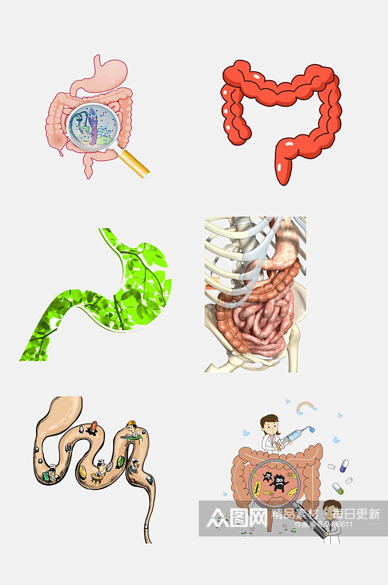 医学肠道消化系统免抠素材素材