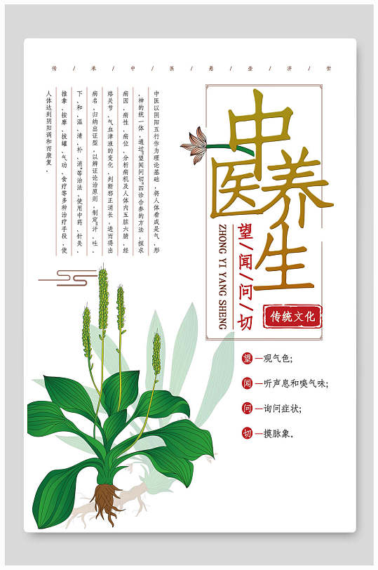 中医养生传统文化宣传海报