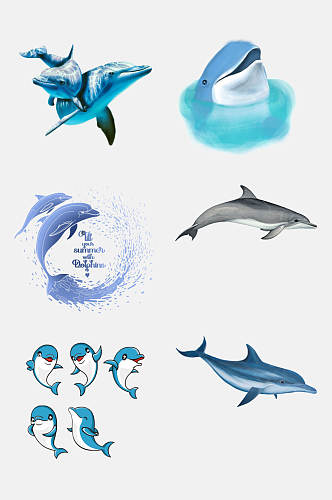 创意时尚动物海豚免抠素材