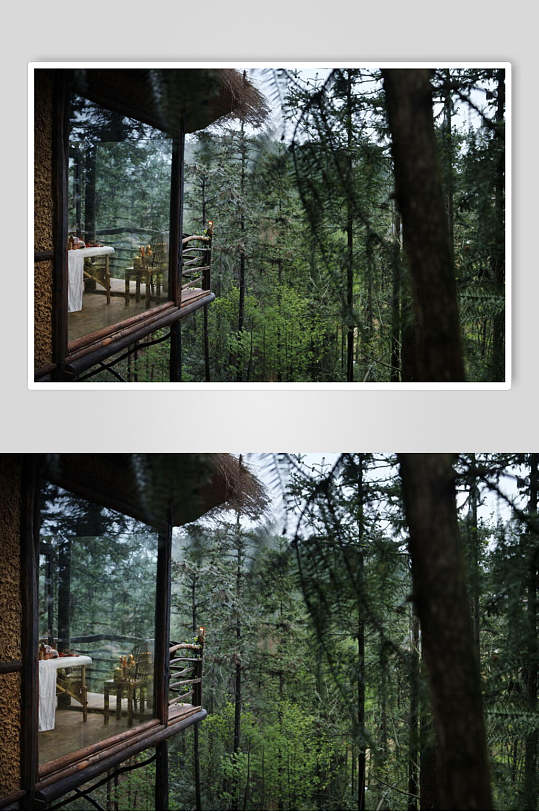 莫干山裸心谷度假村民宿走廊风景图片