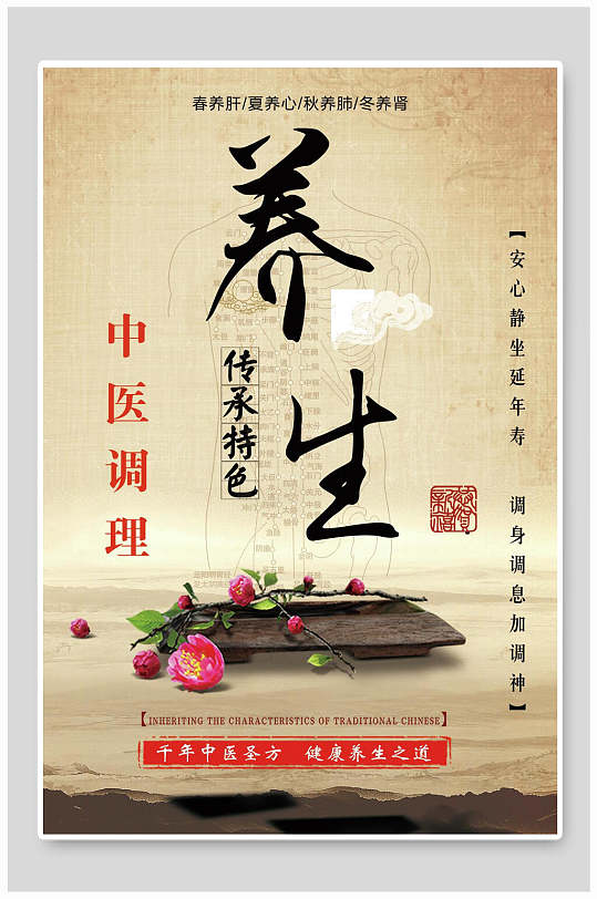 传承特色中药调理养生海报