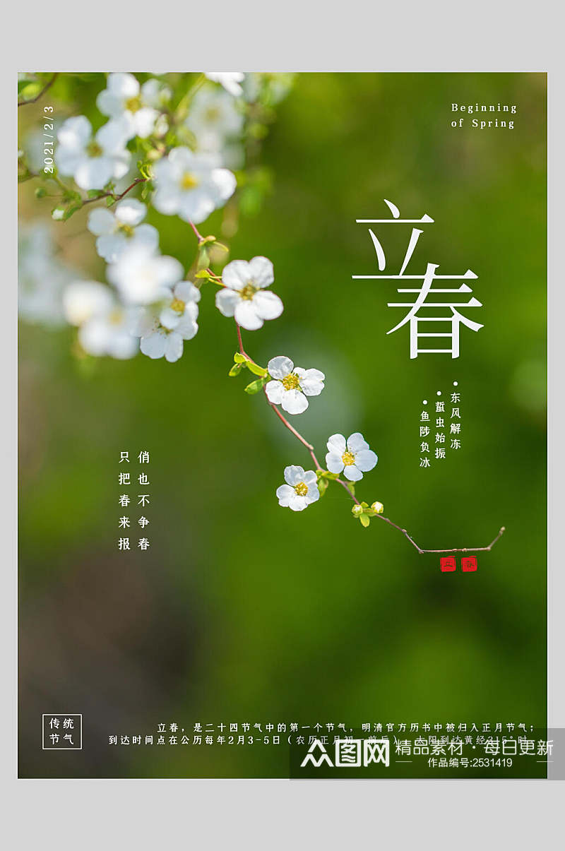 清新绿色花卉二十四节气立春海报素材