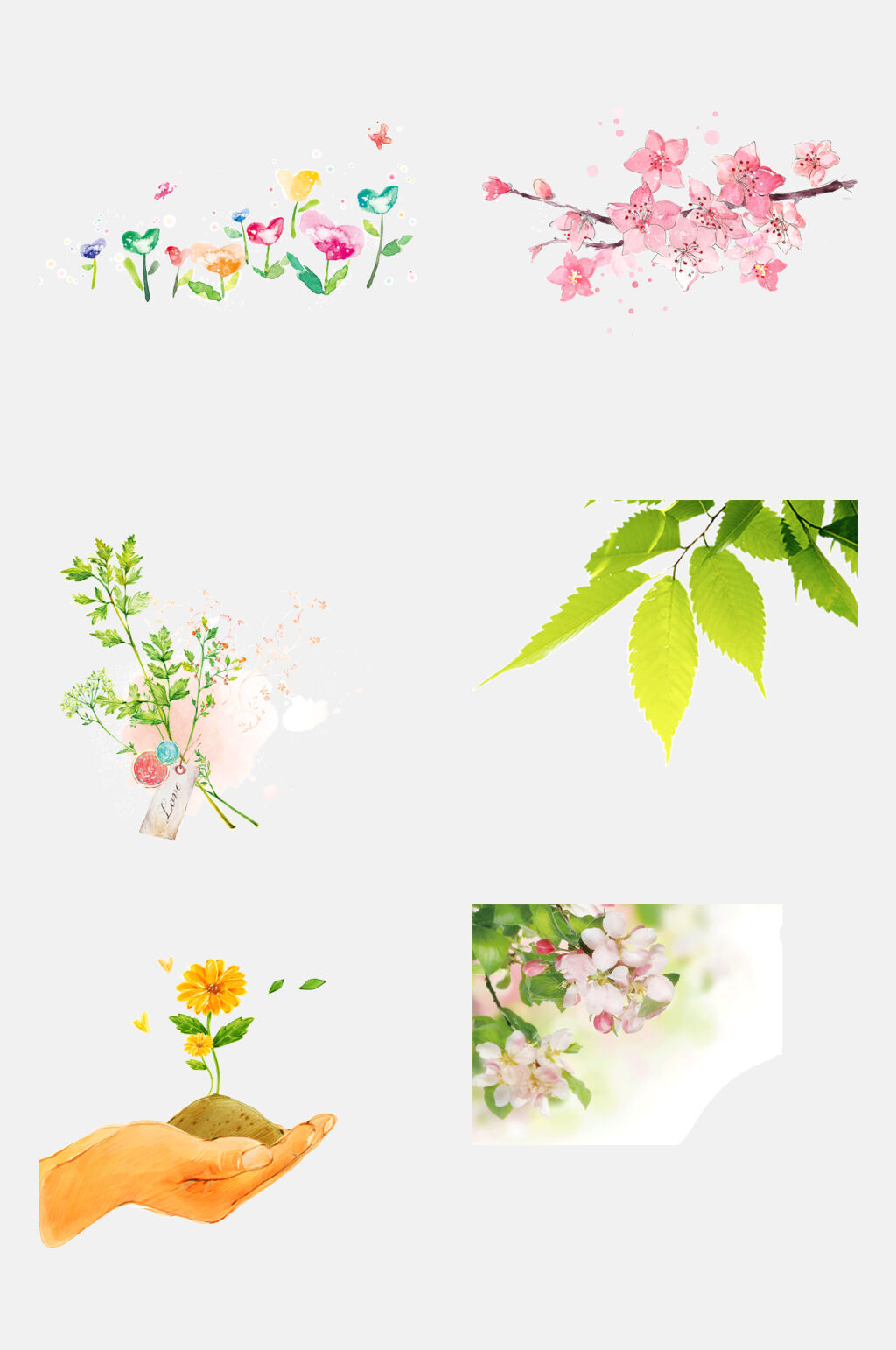 清新淡雅手绘花卉动物植物免抠元素素材