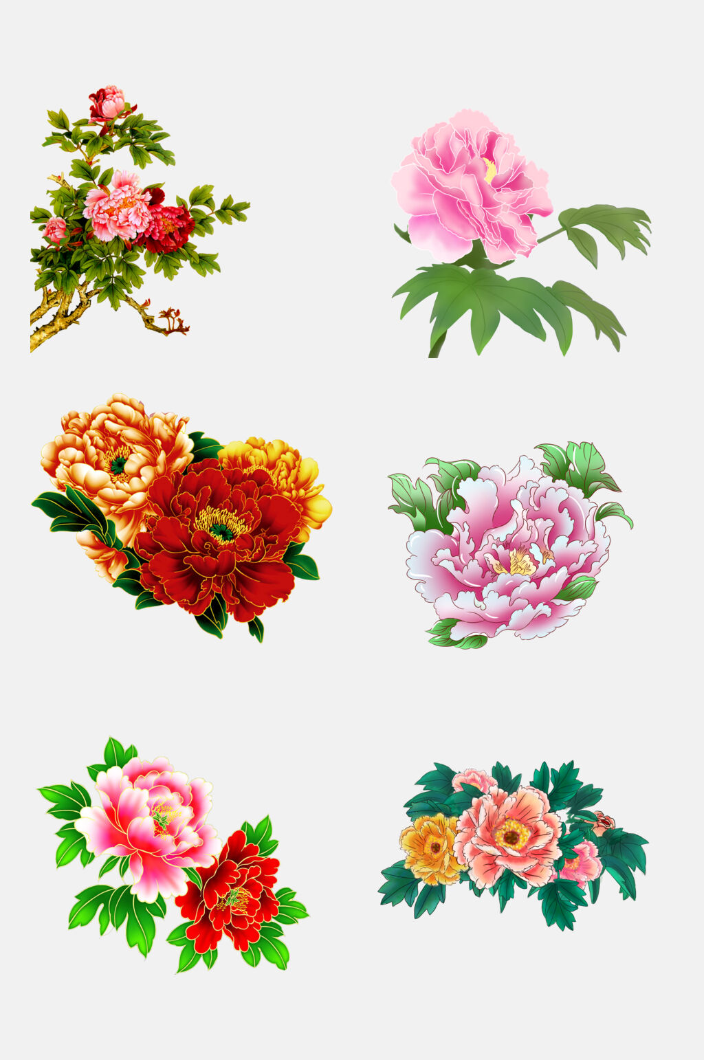 清新中国风花卉花朵花开富贵牡丹免抠素材素材