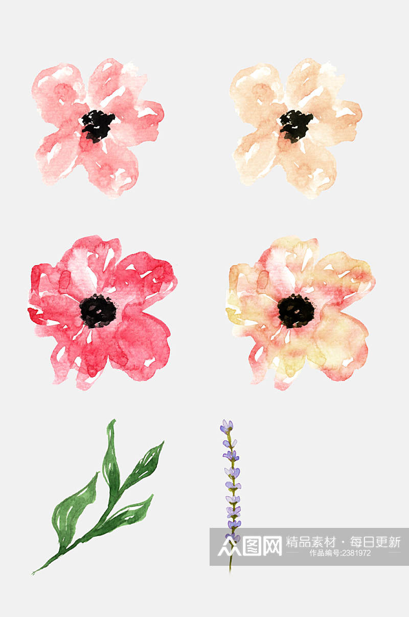 森系手绘水彩花朵花卉植物免抠元素素材