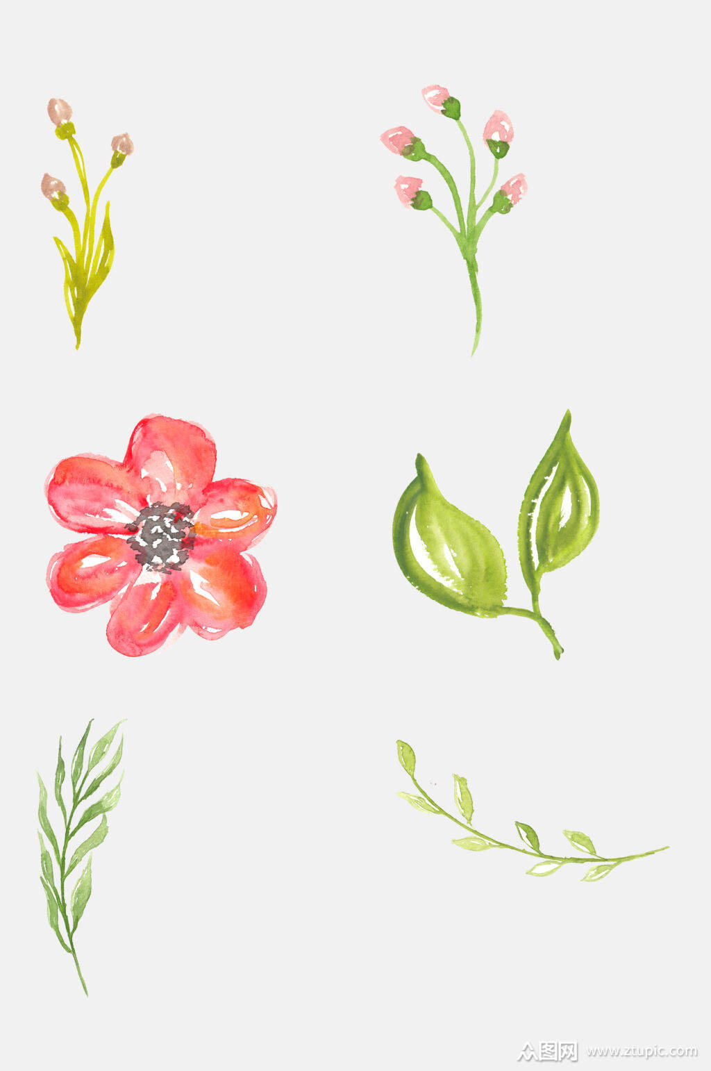 清新森系手绘水彩花朵植物免抠元素