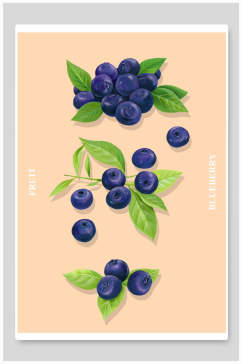 蓝莓切块水果插画素材