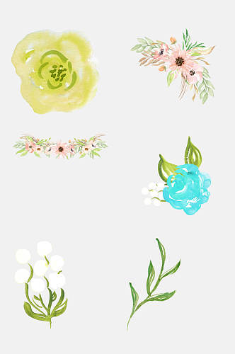 清新森系手绘水彩花朵棉花花卉免抠元素