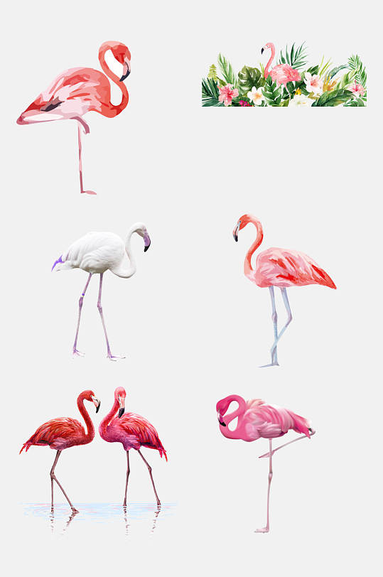 森系卡通火烈鸟免抠元素