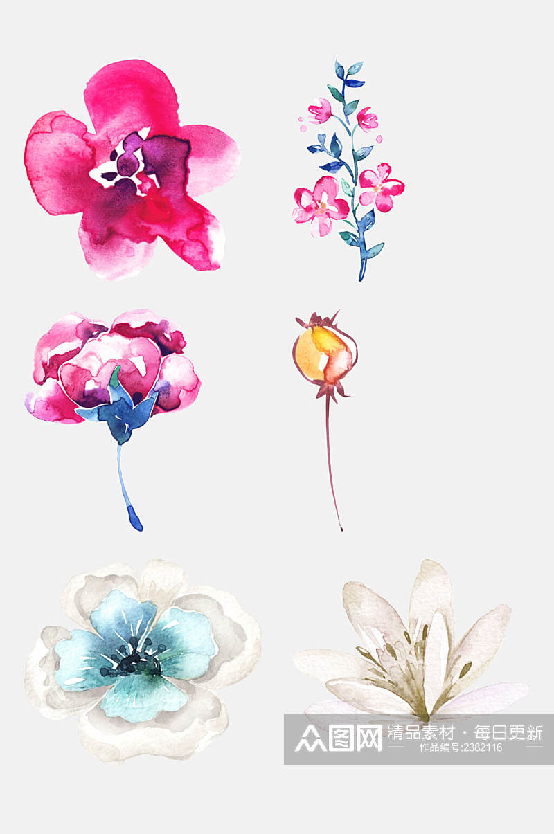水彩花卉花朵花卉免抠元素素材