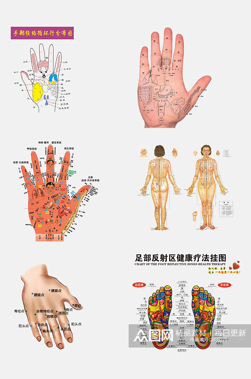 创意中医人体经络穴位免抠素材素材