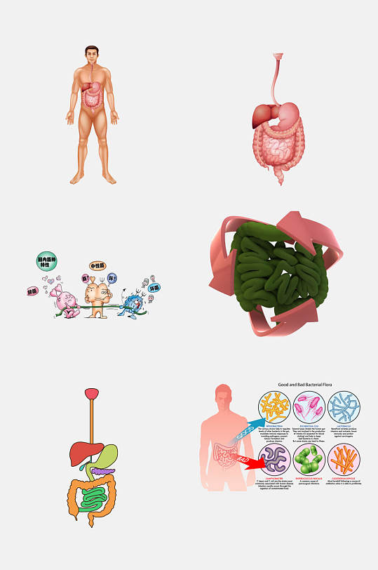 消化系统卡通图片 消化系统卡通素材下载 众图网