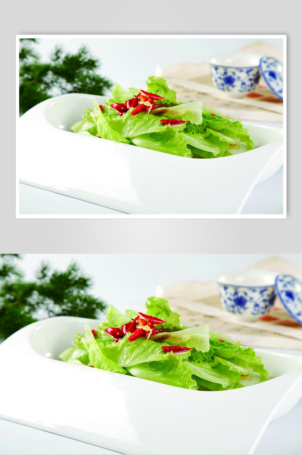 爽口生菜心图片素材