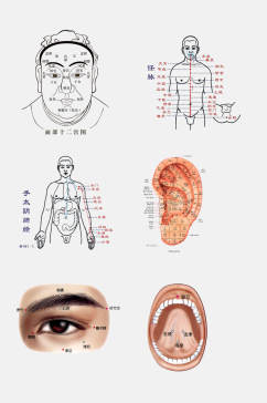 中医人体经络穴位免抠素材