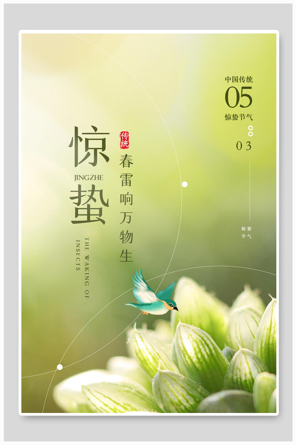 绿色花鸟惊蛰海报素材