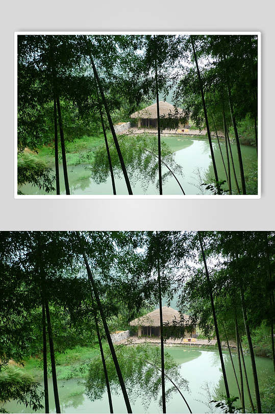 清新莫干山裸心谷度假村民宿竹林湖景图片