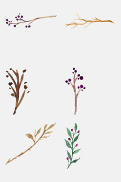 手绘水彩花环花卉叶子羽毛免抠元素