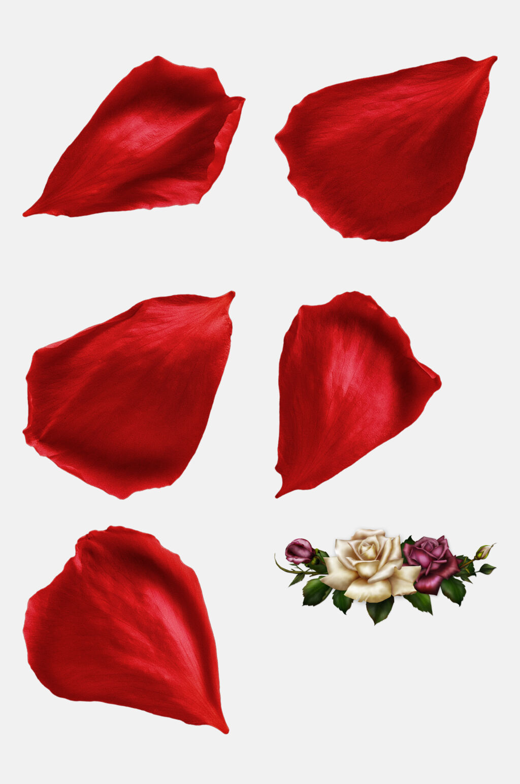 花瓣花卉玫瑰花免抠元素素材