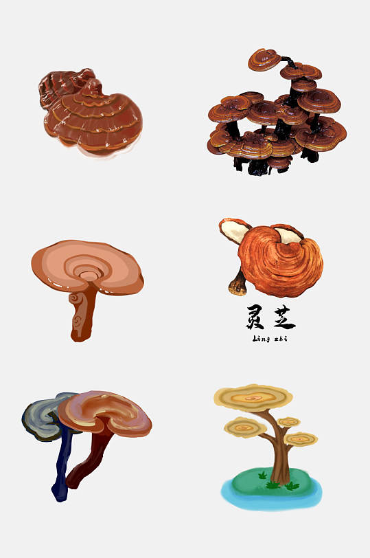 滋补灵芝中药药材免抠元素