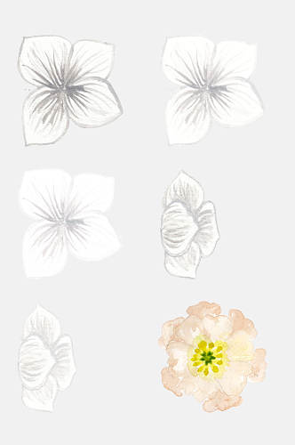 高端森系手绘水彩花朵免抠元素