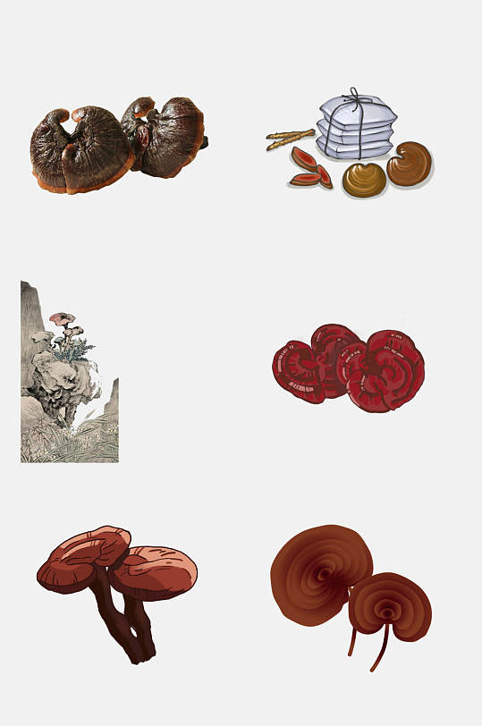 中国风灵芝中药药材免抠元素