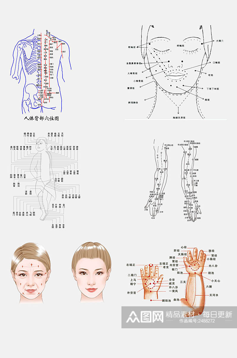 创意中医人体经络穴位免抠素材素材