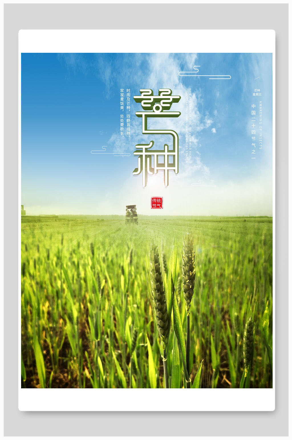 清新水稻芒种二十四节气海报素材