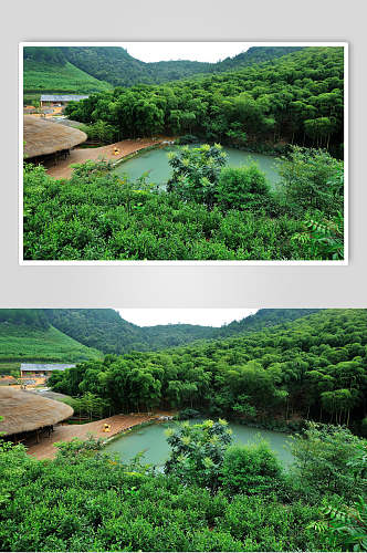 莫干山裸心谷度假村民宿风景图片