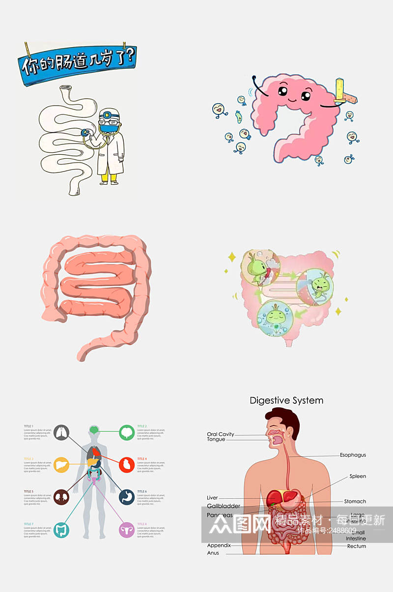 清新卡通医学肠道消化系统免抠素材素材