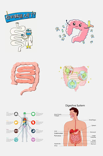 清新卡通医学肠道消化系统免抠素材