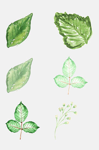 绿色森系手绘水彩叶子花朵免抠元素