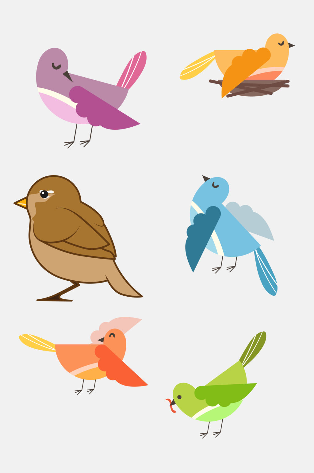 美丽的七彩鸟图片卡通图片