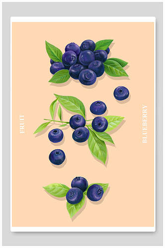 清新蓝莓水果海报