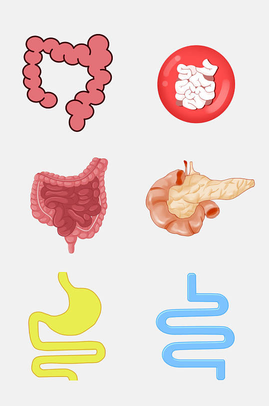 创意医学肠道消化系统免抠素材