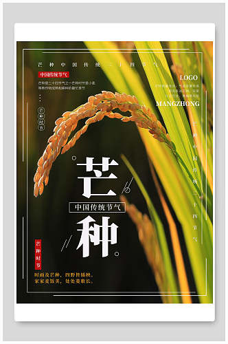 水稻芒种中国节气宣传海报