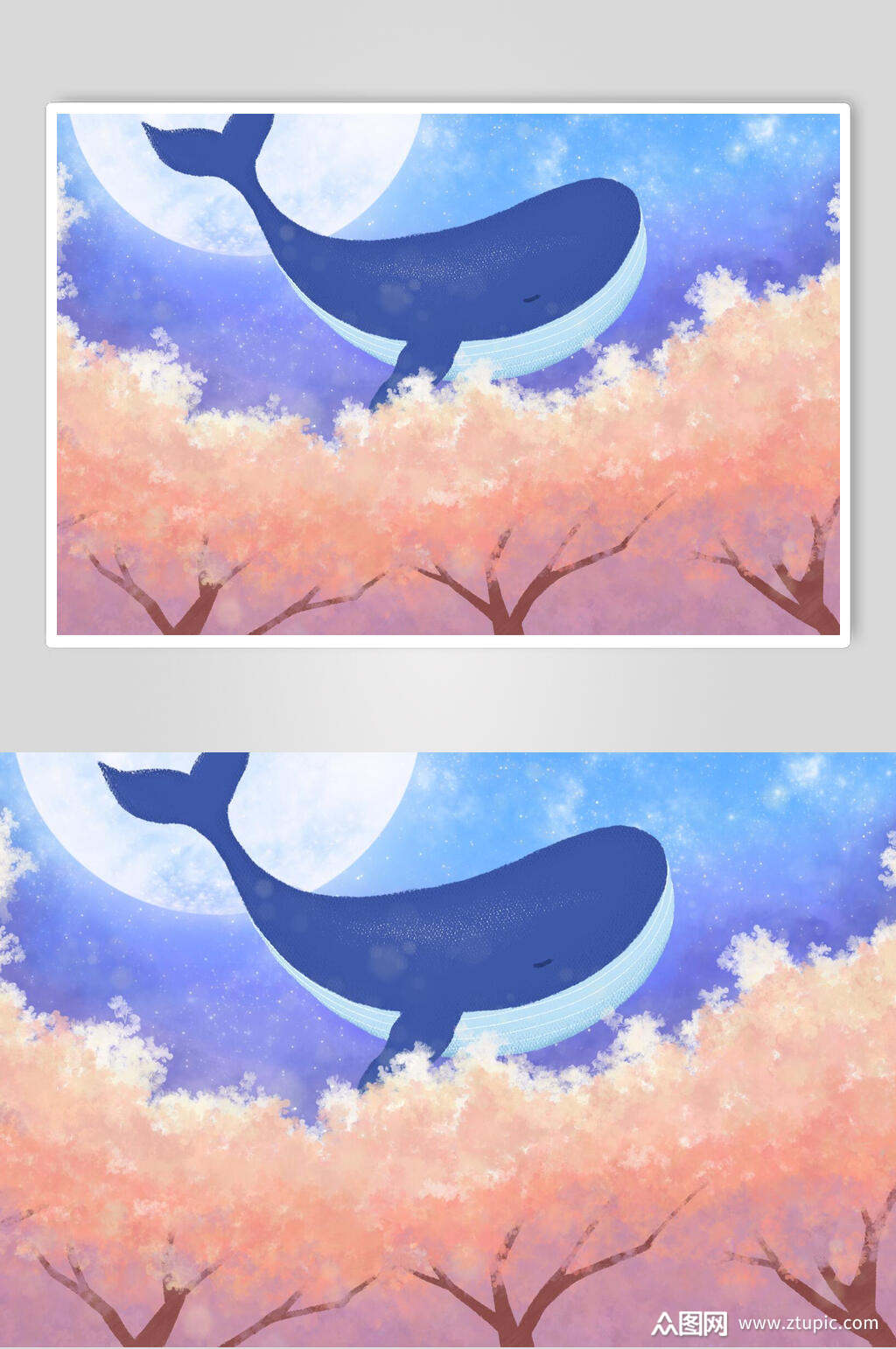 梦幻治愈鲸鱼插画素材