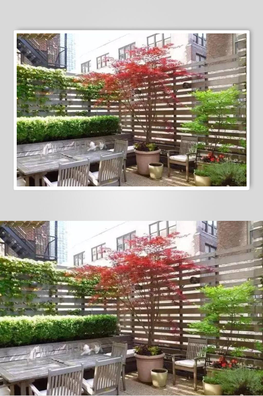 乡村民宿花园桌椅图片素材