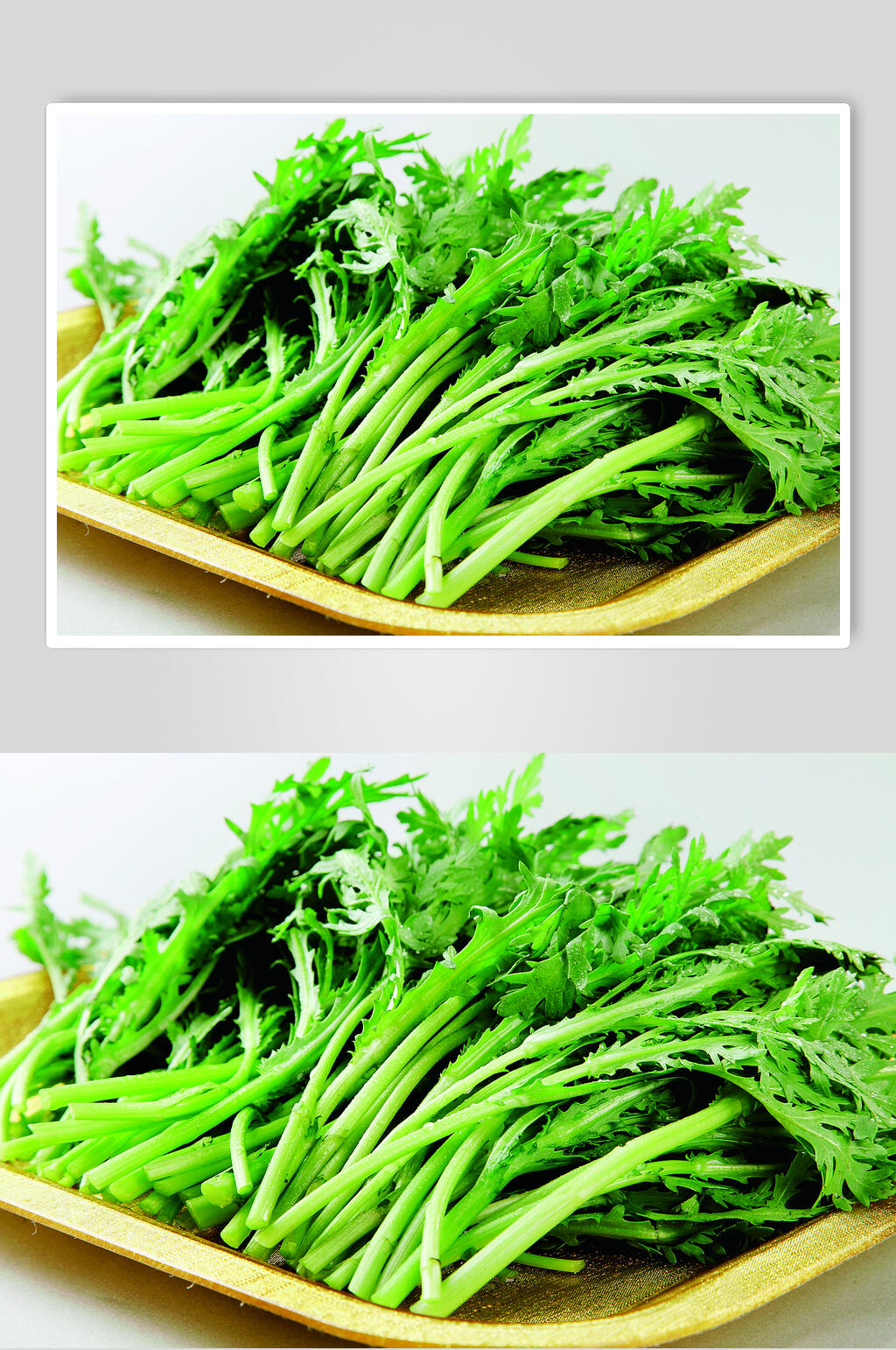 蔬菜茼蒿图片食物摄影图片素材