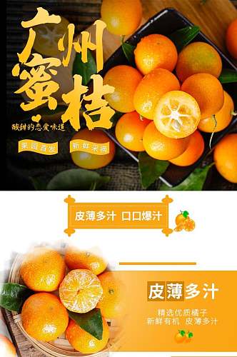 水果广州蜜桔食品电商详情页