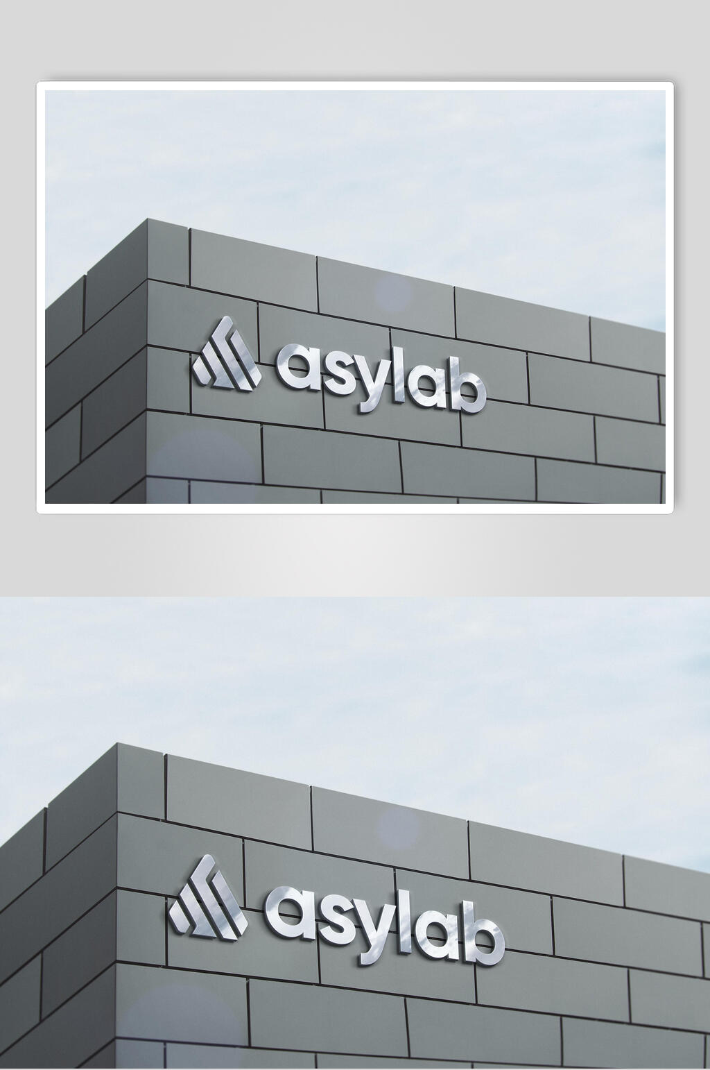 高级品牌LOGO样机素材