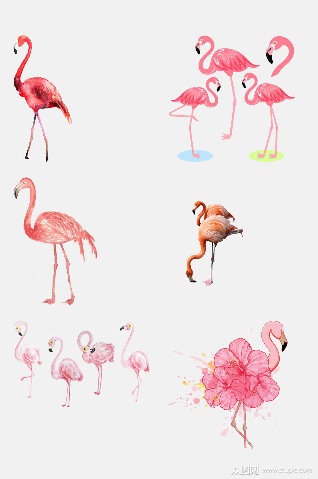 清新粉色森系卡通火烈鸟免抠元素