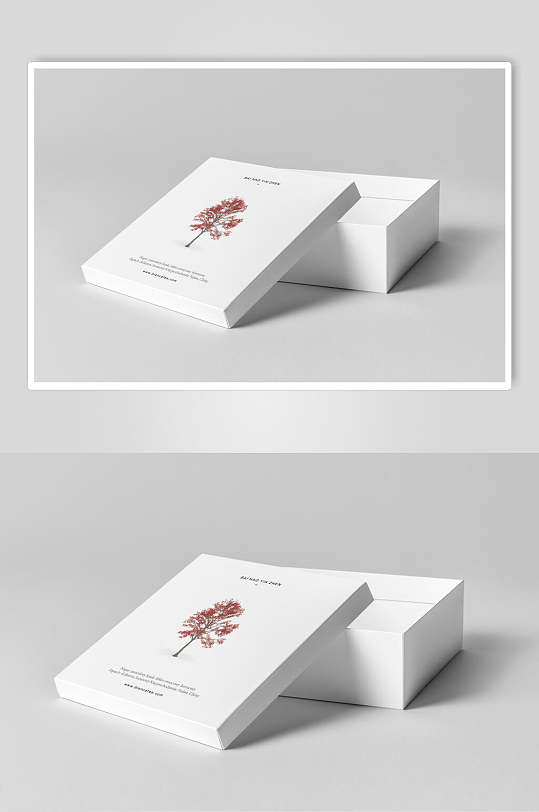 精致臻美面膜文创logo礼盒包装样机