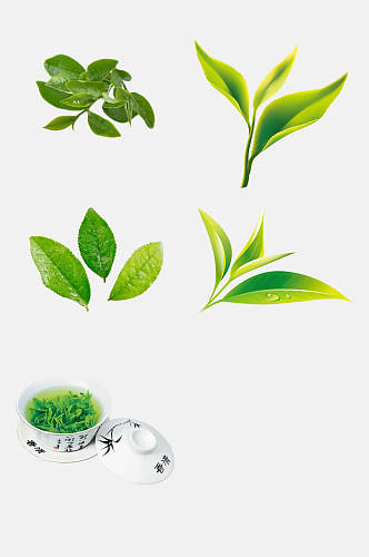 叶子茶叶新茶绿茶免抠素材