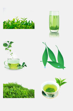 清新绿色茶叶新茶绿茶免抠素材