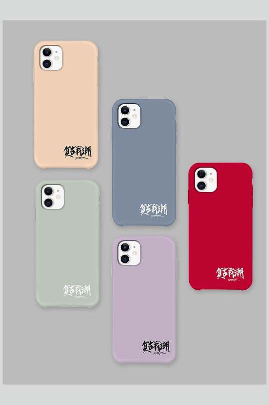 精致精粹学生手机壳样机