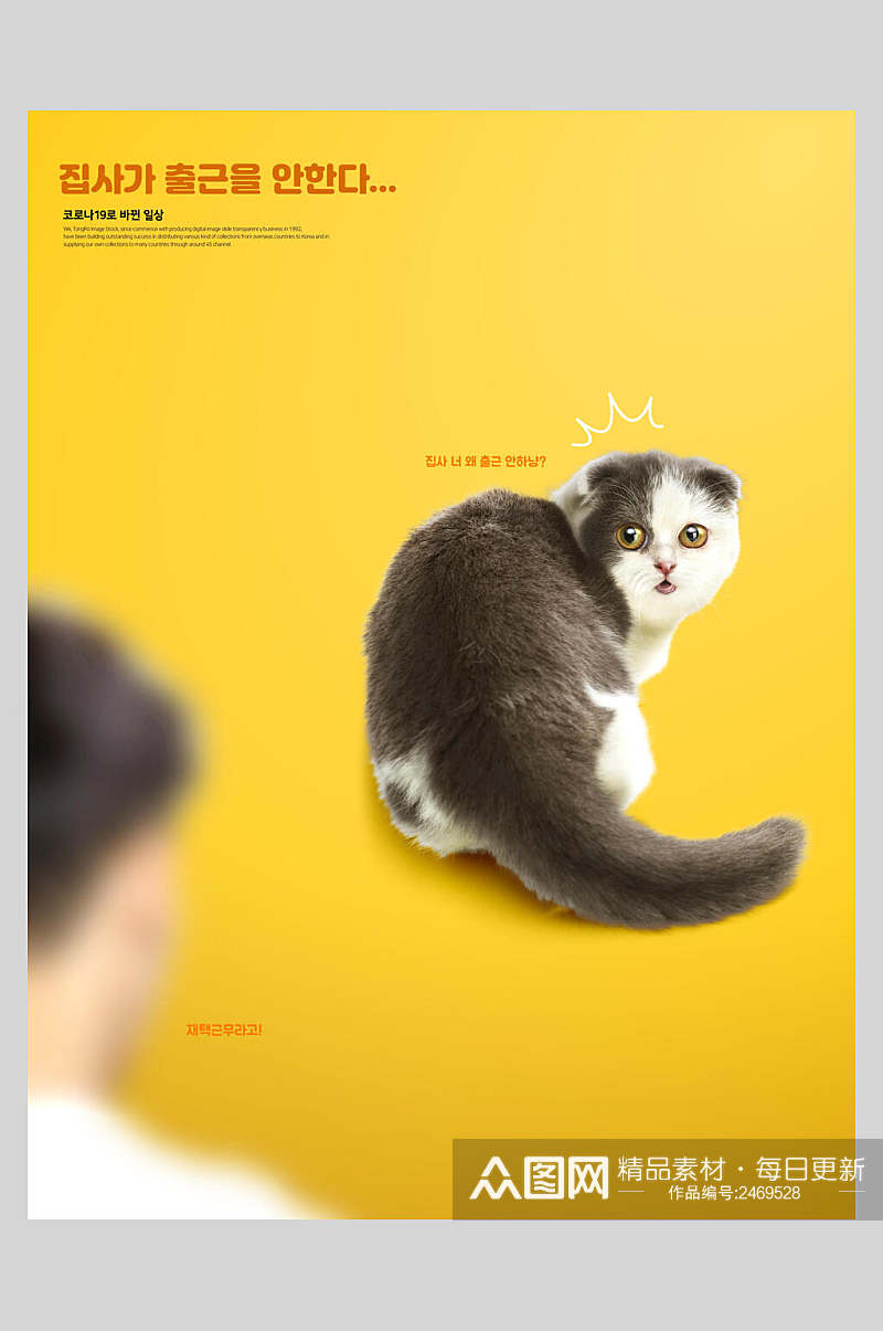 清新黄色猫咪宠物海报素材