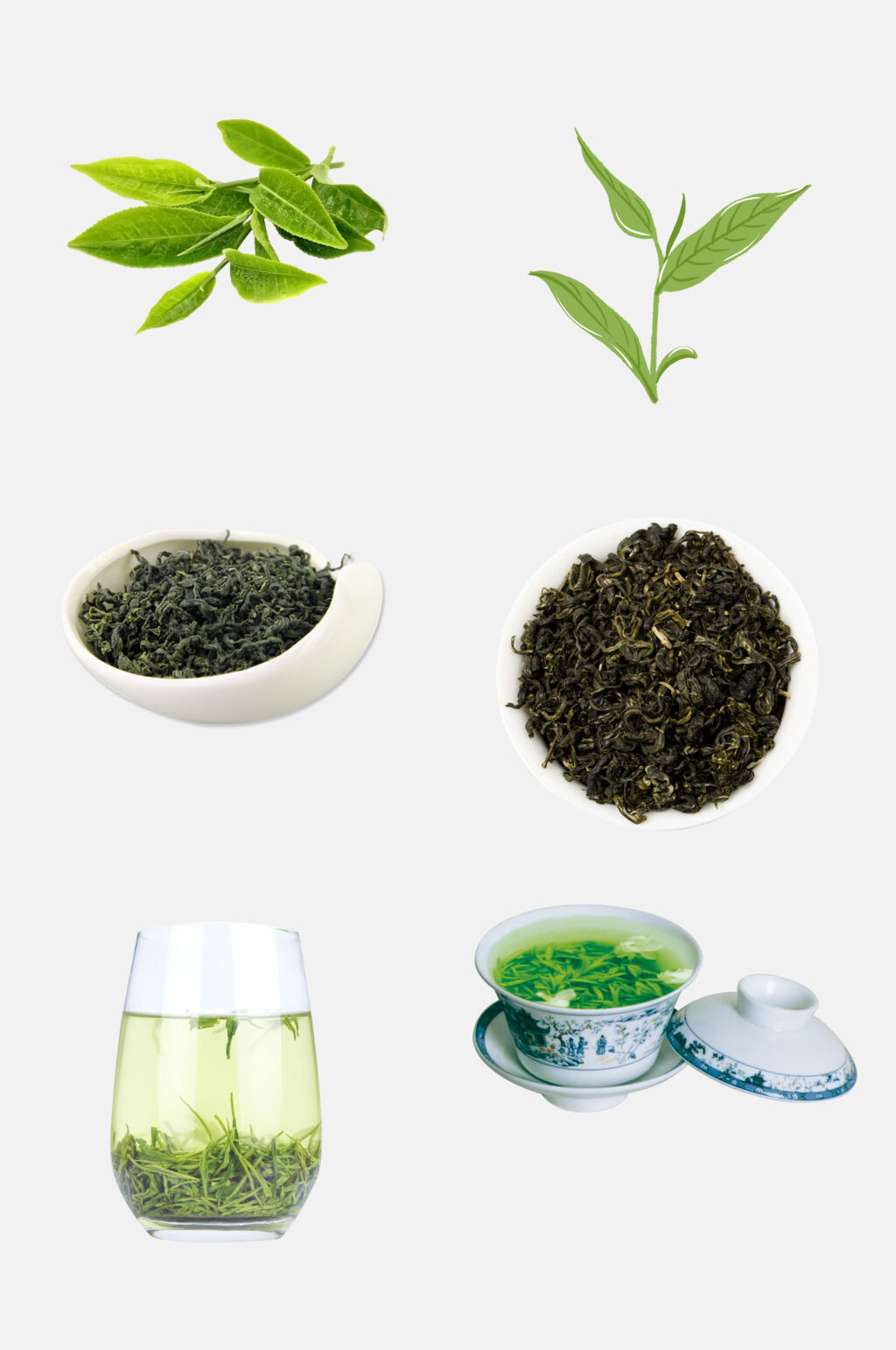 精选茶叶新茶绿茶免抠素材素材