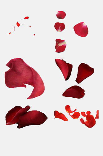 红色飘散花瓣免抠元素