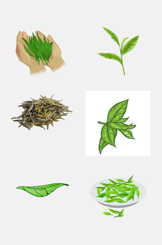 清新手绘植物茶叶新茶绿茶免抠素材