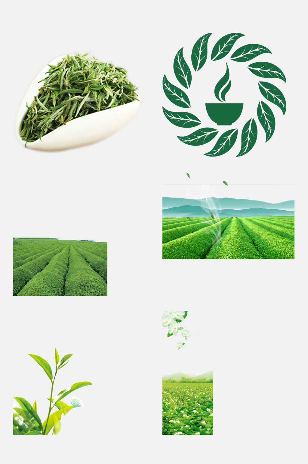 品质好茶茶叶免抠素材素材